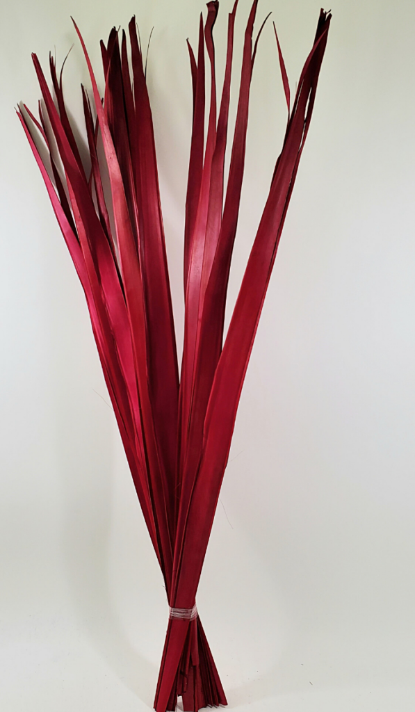 Long Palm Burgundy