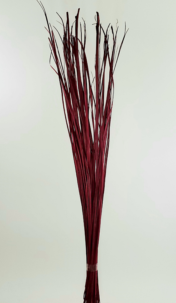 Palm Grass Burgundy