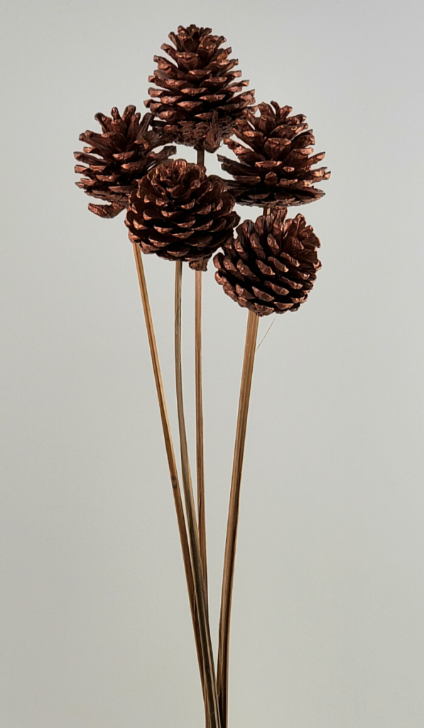 Pinecones Copper