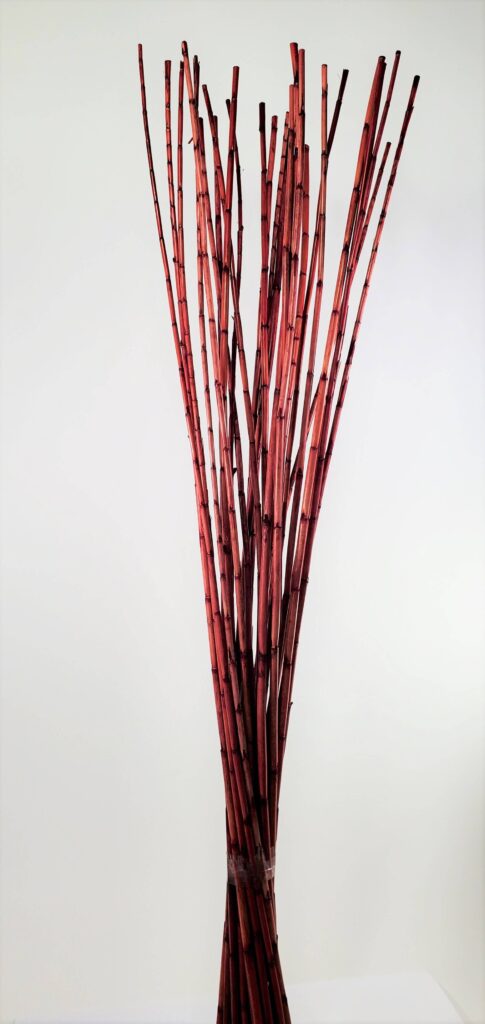 Pencil Bamboo Burgundy