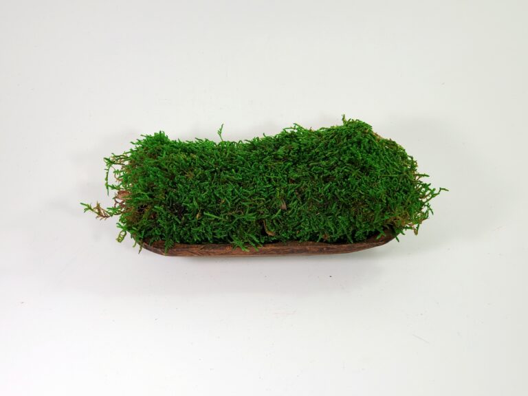 Sheet Moss Preserved - Green